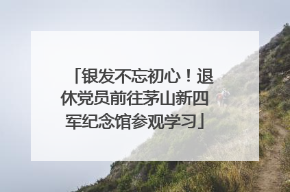 银发不忘初心！退休党员前往茅山新四军纪念馆参观学习
