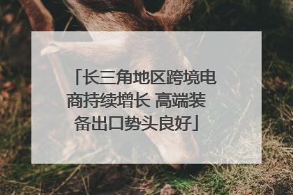 长三角地区跨境电商持续增长 高端装备出口势头良好