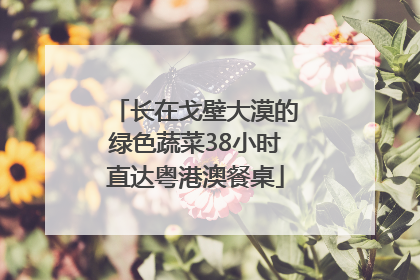 长在戈壁大漠的绿色蔬菜38小时直达粤港澳餐桌