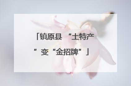 镇原县 “土特产”变“金招牌”
