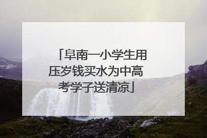 阜南一小学生用压岁钱买水为中高考学子送清凉