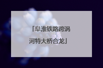 阜淮铁路跨涡河特大桥合龙
