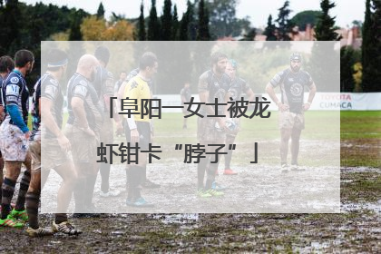 阜阳一女士被龙虾钳卡“脖子”