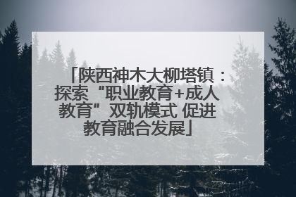 陕西神木大柳塔镇：探索“职业教育+成人教育”双轨模式 促进教育融合发展