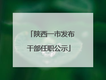 陕西一市发布干部任职公示