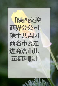 陕西交控商界分公司携手共青团商洛市委走进商洛市儿童福利院