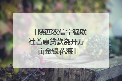 陕西农信宁强联社普惠贷款浇开万亩金银花海