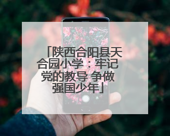 陕西合阳县天合园小学：牢记党的教导 争做强国少年