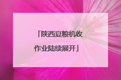 陕西夏粮机收作业陆续展开