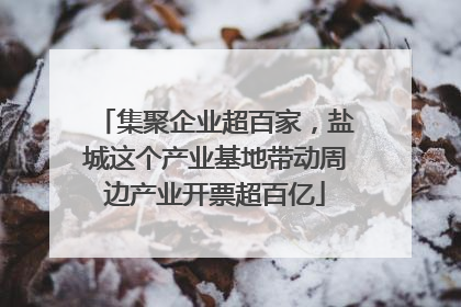 集聚企业超百家，盐城这个产业基地带动周边产业开票超百亿