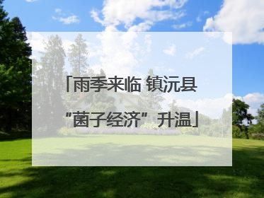 雨季来临 镇沅县“菌子经济”升温