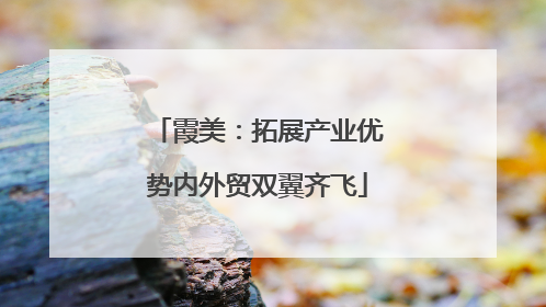 霞美：拓展产业优势内外贸双翼齐飞