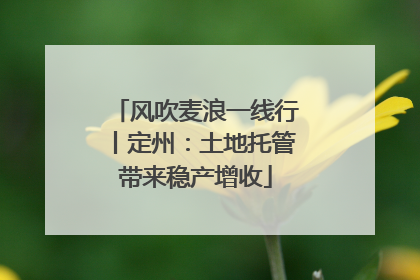 风吹麦浪一线行丨定州：土地托管带来稳产增收