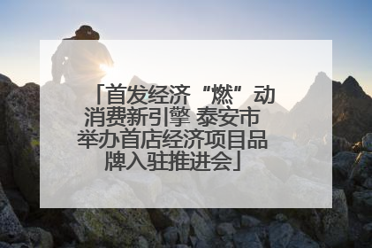 首发经济“燃”动消费新引擎 泰安市举办首店经济项目品牌入驻推进会