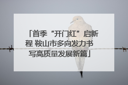 首季“开门红”启新程 鞍山市多向发力书写高质量发展新篇