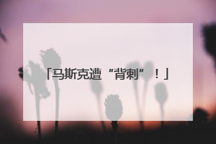 马斯克遭“背刺”！