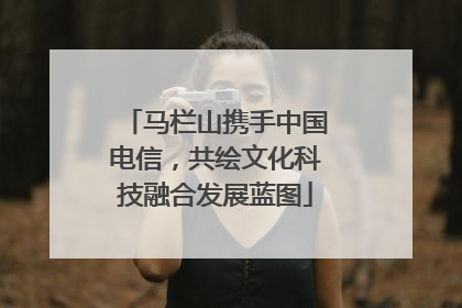 马栏山携手中国电信，共绘文化科技融合发展蓝图