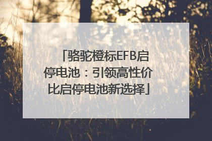 骆驼橙标EFB启停电池：引领高性价比启停电池新选择