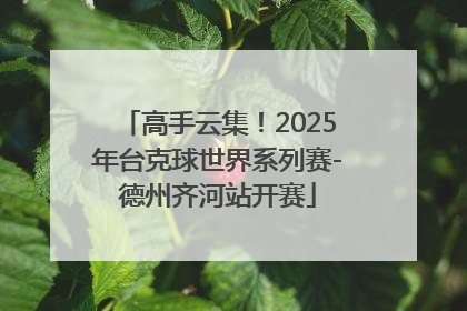 高手云集！2025年台克球世界系列赛-德州齐河站开赛