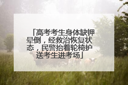 高考考生身体缺钾晕倒，经救治恢复状态，民警抬着轮椅护送考生进考场