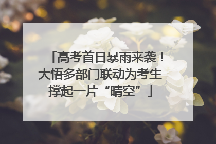 高考首日暴雨来袭！大悟多部门联动为考生撑起一片“晴空”