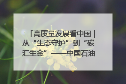 高质量发展看中国｜从“生态守护”到“碳汇生金”——中国石油大庆油田绿色蝶变