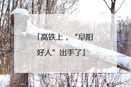 高铁上，“阜阳好人”出手了