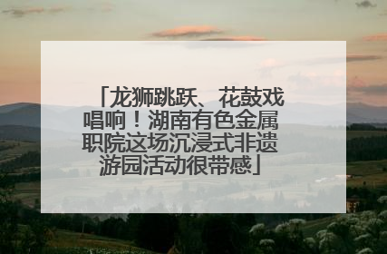 龙狮跳跃、花鼓戏唱响！湖南有色金属职院这场沉浸式非遗游园活动很带感