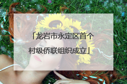 龙岩市永定区首个村级侨联组织成立