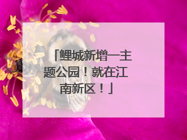 鲤城新增一主题公园！就在江南新区！