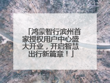 鸿蒙智行滨州首家授权用户中心盛大开业，开启智慧出行新篇章！