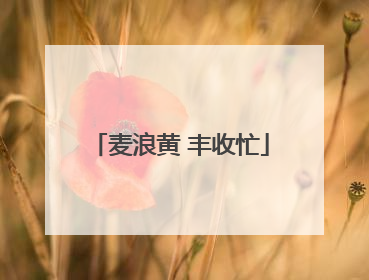 麦浪黄 丰收忙