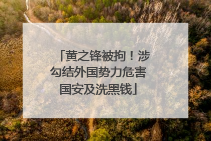 黄之锋被拘！涉勾结外国势力危害国安及洗黑钱