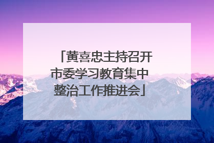 黄喜忠主持召开市委学习教育集中整治工作推进会
