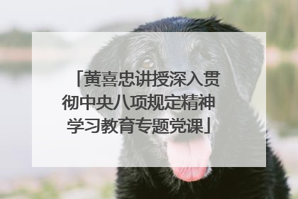 黄喜忠讲授深入贯彻中央八项规定精神学习教育专题党课