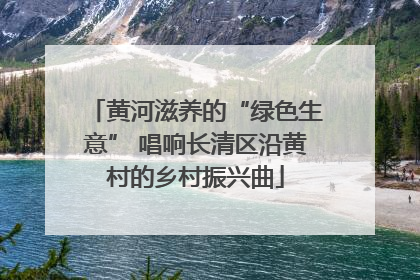 黄河滋养的“绿色生意” 唱响长清区沿黄村的乡村振兴曲