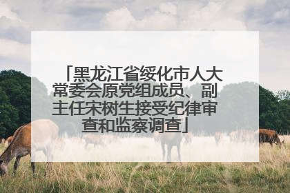 黑龙江省绥化市人大常委会原党组成员、副主任宋树生接受纪律审查和监察调查