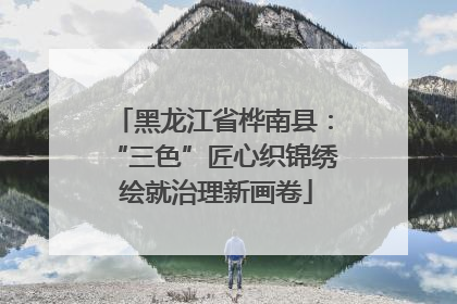 黑龙江省桦南县：“三色”匠心织锦绣 绘就治理新画卷