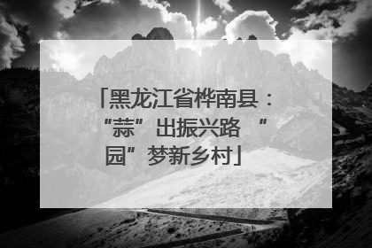 黑龙江省桦南县：“蒜”出振兴路 “园”梦新乡村