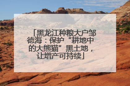 黑龙江种粮大户邹德海：保护“耕地中的大熊猫”黑土地，让增产可持续