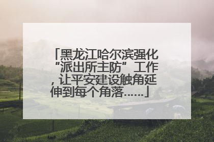 黑龙江哈尔滨强化“派出所主防”工作，让平安建设触角延伸到每个角落……