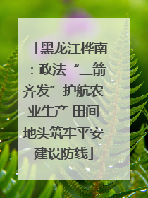 黑龙江桦南：政法“三箭齐发”护航农业生产 田间地头筑牢平安建设防线
