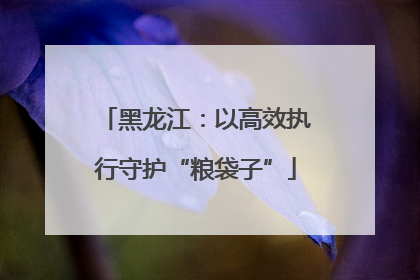 黑龙江：以高效执行守护“粮袋子”