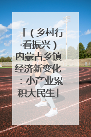（乡村行·看振兴）内蒙古乡镇经济新变化：小产业累积大民生