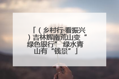 （乡村行·看振兴）吉林辉南荒山变“绿色银行” 绿水青山有“钱景”