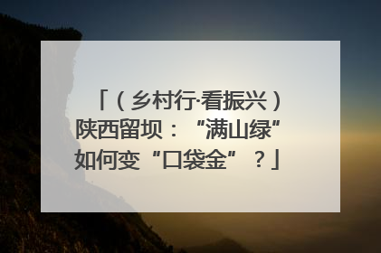 （乡村行·看振兴）陕西留坝：“满山绿”如何变“口袋金”？
