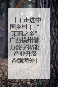 （走进中国乡村）“茉莉之乡”广西横州借力数字智能 产业升级香飘海外