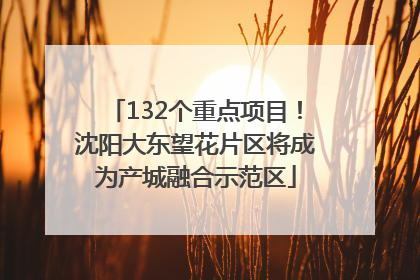 132个重点项目！沈阳大东望花片区将成为产城融合示范区