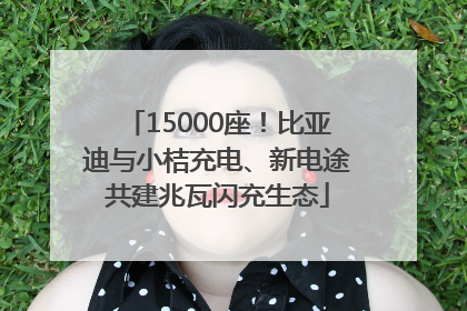15000座！比亚迪与小桔充电、新电途共建兆瓦闪充生态