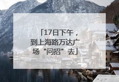 17日下午，到上海路万达广场“问招”去